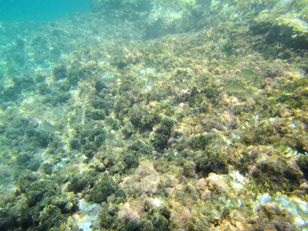 Appartamento Sea Of Eden Ragusa Esterno foto